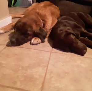 Meet your Posher, Joseph